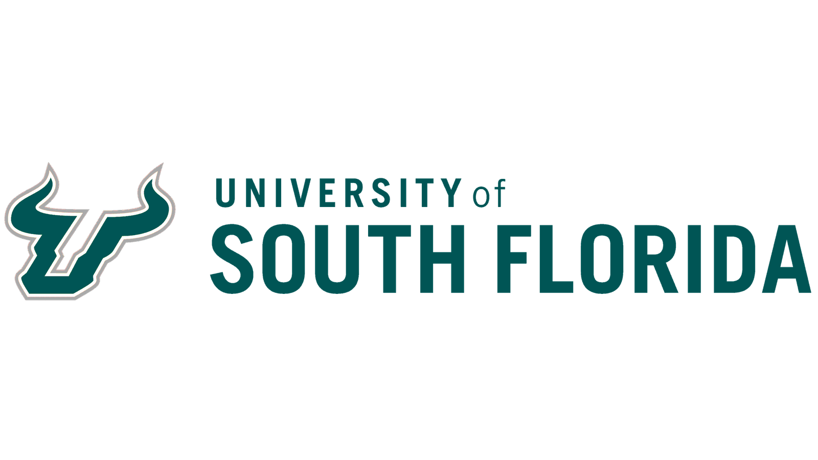 University of South Florida